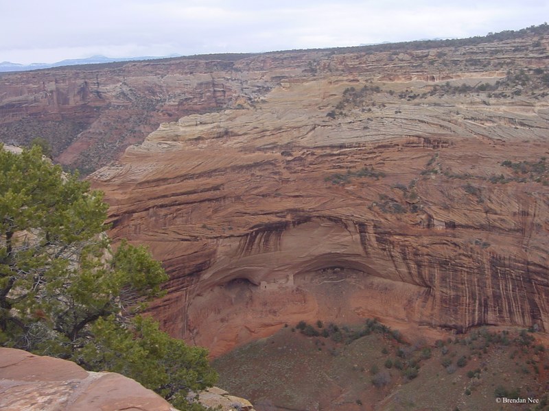 Canyon De Chelly - Canyon De Chelly 1-05 449